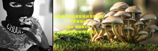 дурь Алзамай