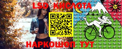 марки nbome Камышлов