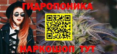 МДПВ Канаш