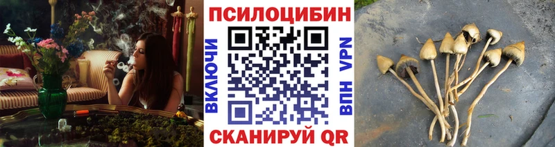 Псилоцибиновые грибы мицелий  дарнет шоп  Солнечногорск 