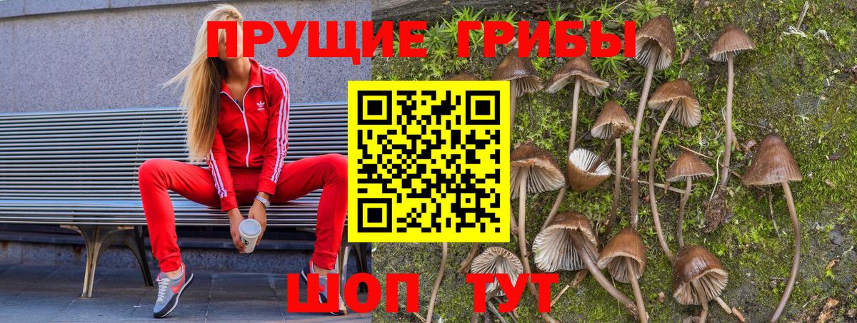 Солнечногорск  Галлюциногенные грибы мухоморы  Вход с VPN 
