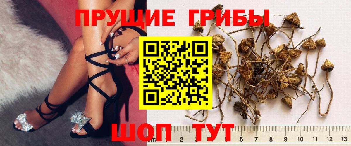 Галлюциногенные грибы мицелий Солнечногорск